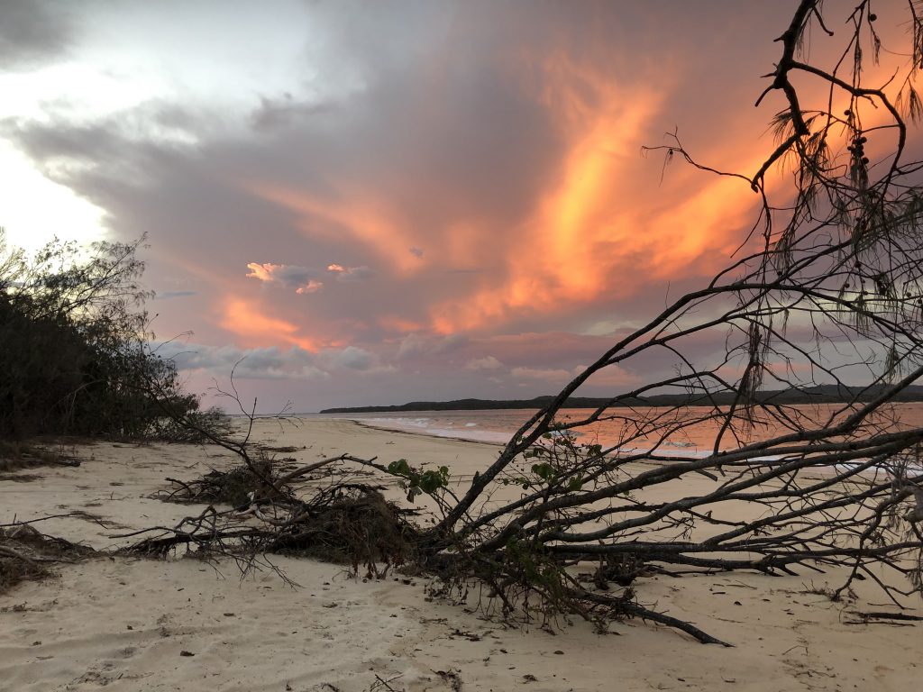 Golden hour on the shore