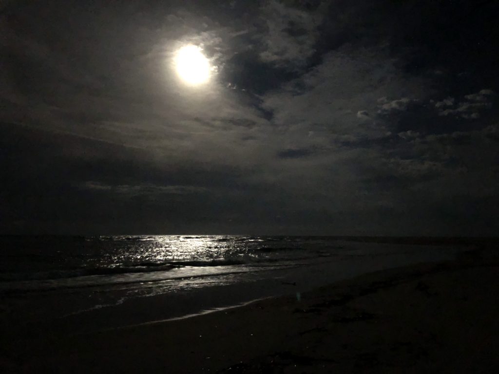 Moon casts a glow over the Pacific