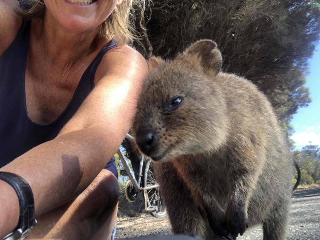 A Day Trip to Rottnest Island - Quokka