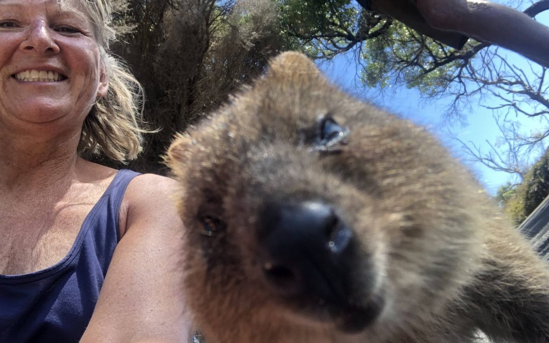 A Perfect Day Trip to Rottnest Island