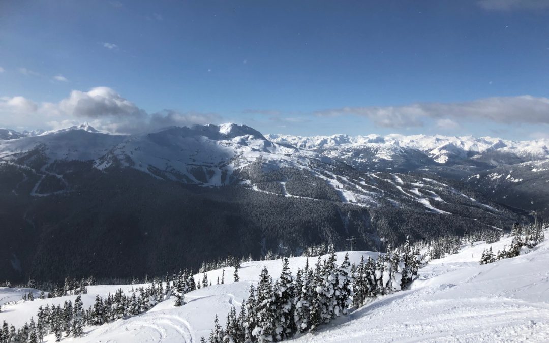 2020 Foresight for the Whistler Ski Season