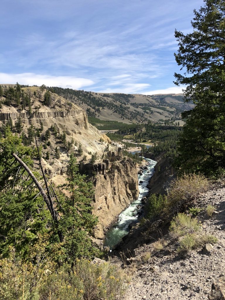 View of the Grand Canyon of Yellowstone with its dramatic cliffs and river