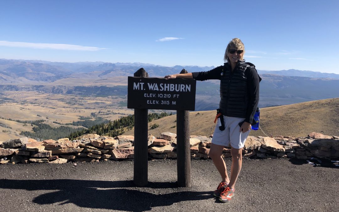 Yellowstone National Park + Beartooth Highway: Ultimate 2-Day Road Trip