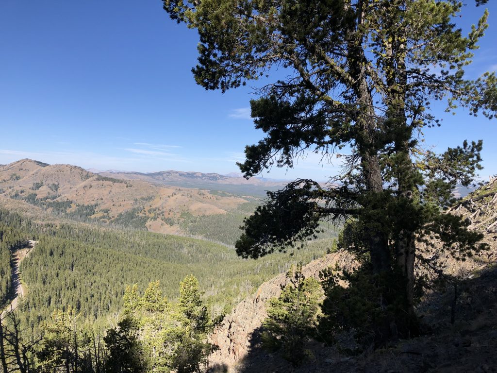 View from the middle of the hike up Mt. Washburn