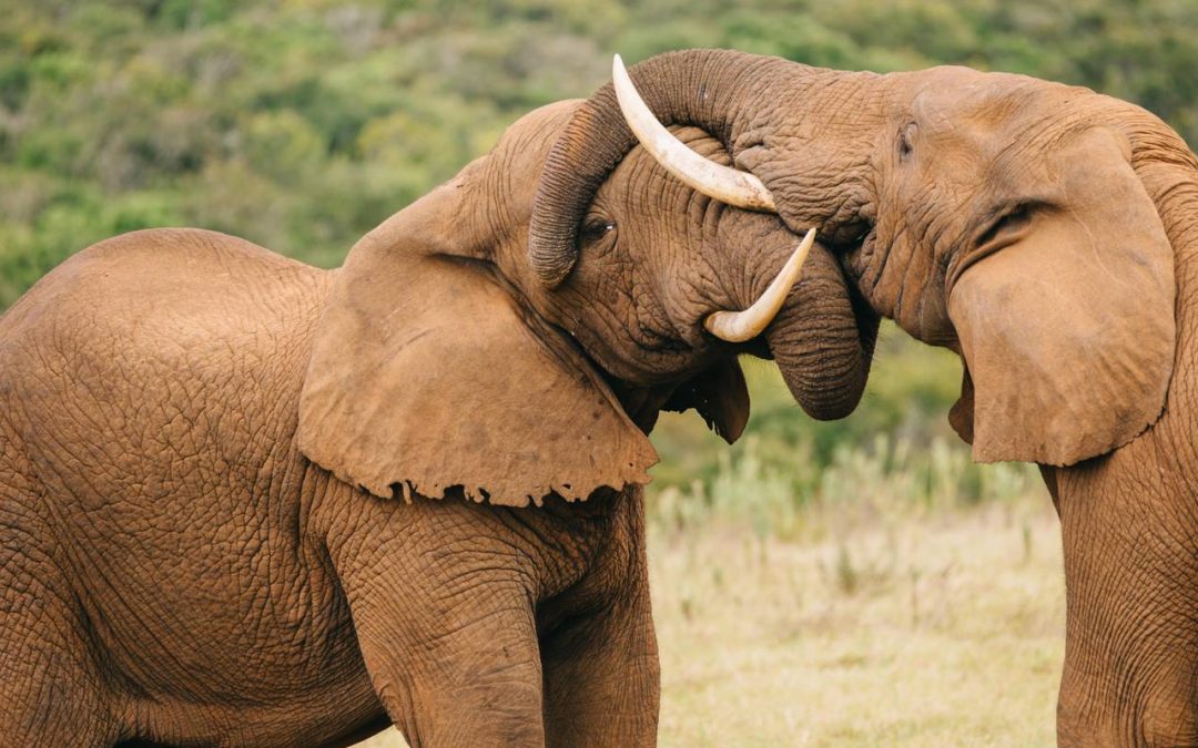 Where to travel in 2022: some bucket list Tour Inspiration