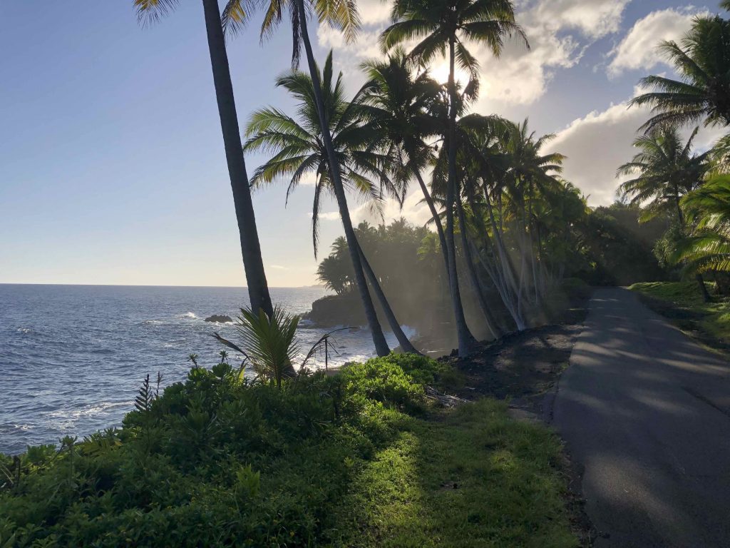 Lush ocean-side drive view leading to Pahoa