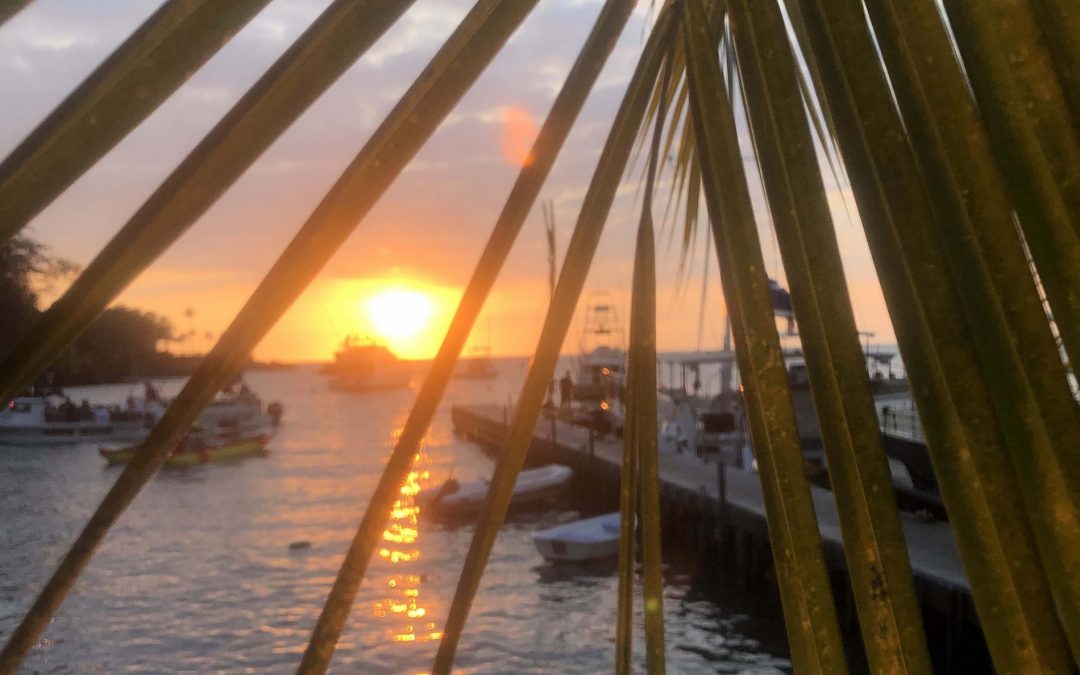 Hawaii Manta Ray Night Snorkel: Best Big Island adventure
