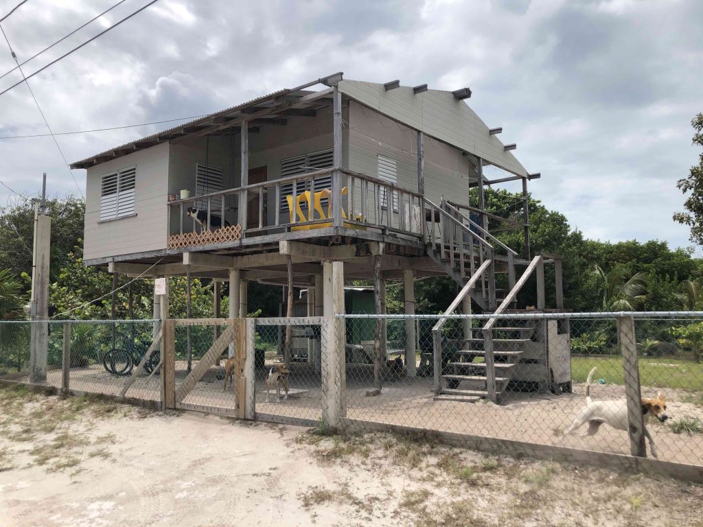Home on stills, north island, Caye Caulker