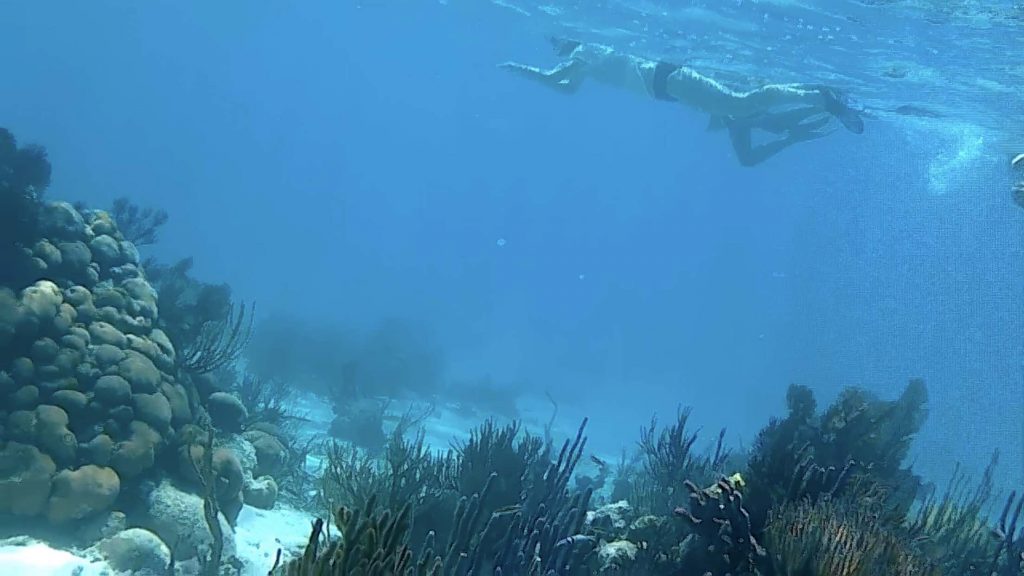 snorkeling