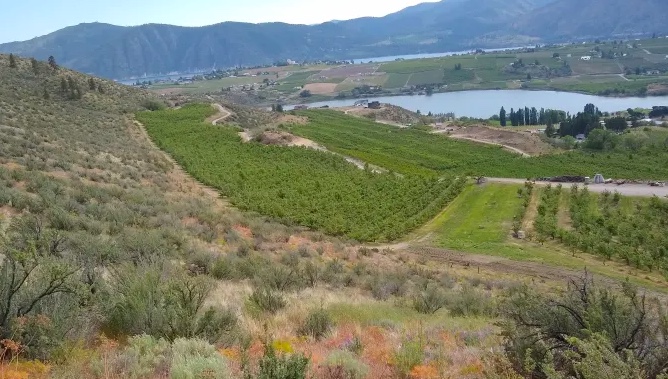 Chelan Valley, Washington State, as seen from Cheval Cellars Winery