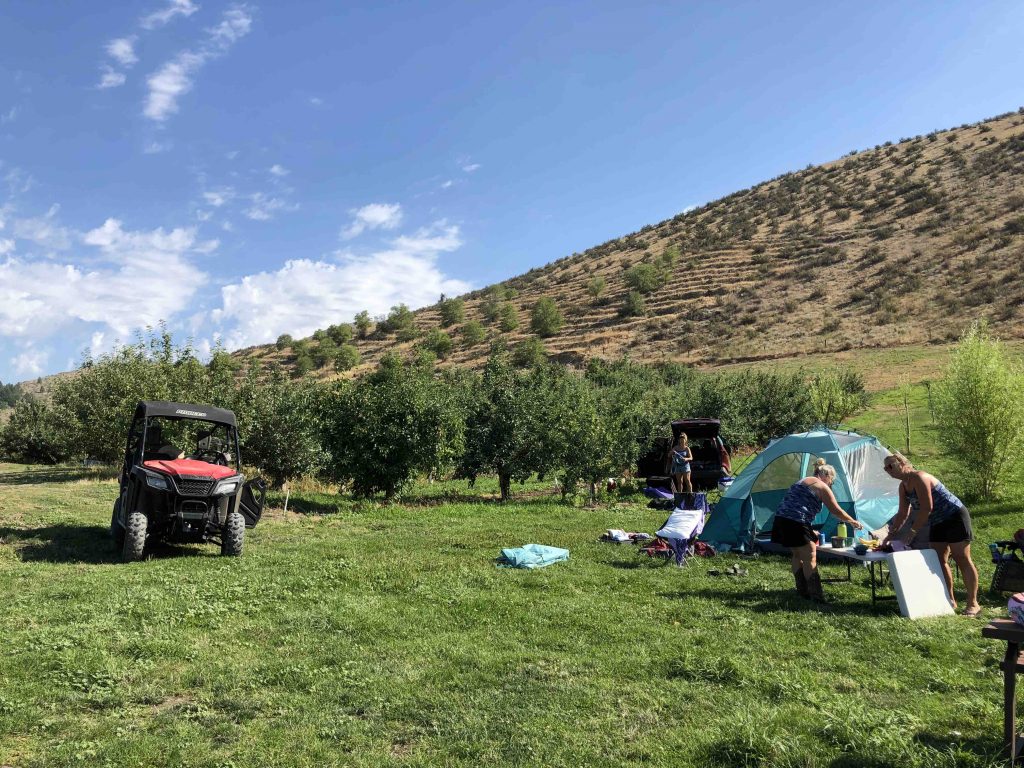 Cheval Cellars Winery campsite