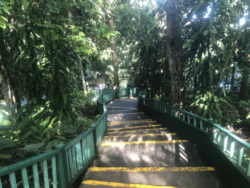 Stairs Leading Down to the Ocean