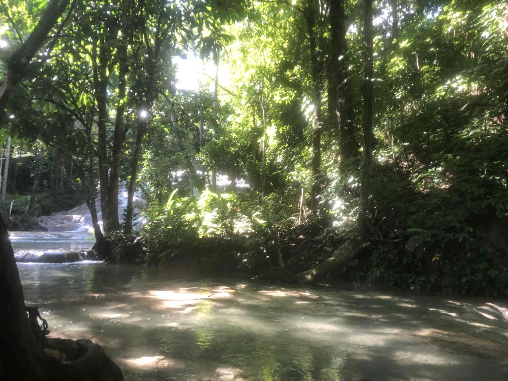 Gentle Flowing Water at Dunn’s River Falls