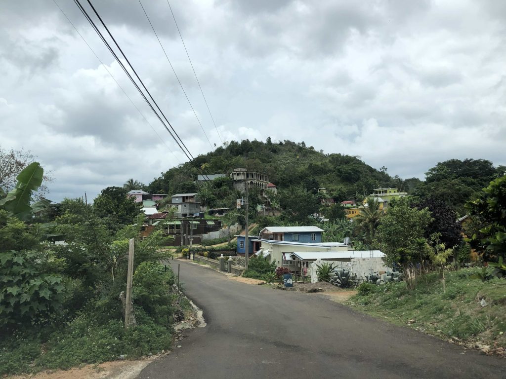 Jamaican paved road lined with lush greenery