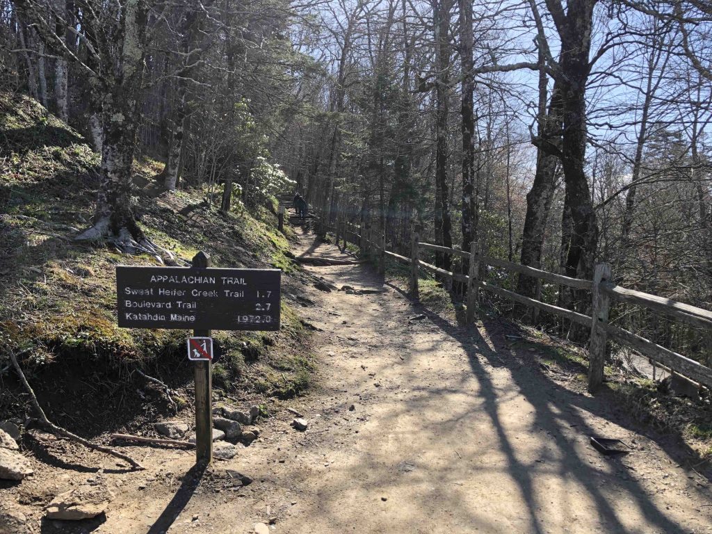 Appalachian Trail and Boulevard Trail from Newfound Gap parking lot - hiking in Tennessee