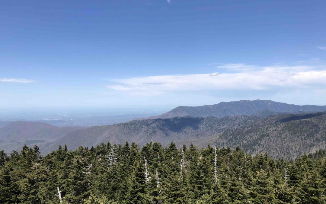 Places to Visit in Tennessee