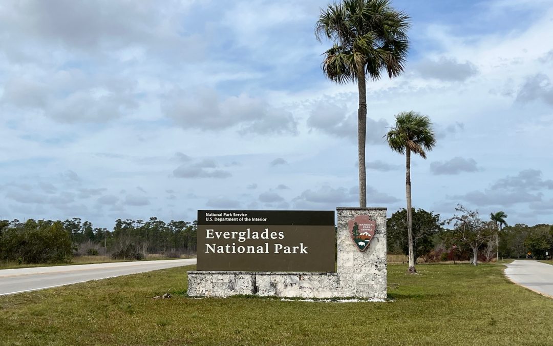 Is Everglades National Park Worth Visiting?